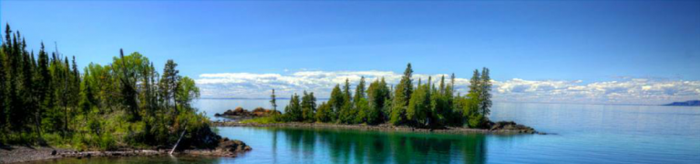 Change business legal name with cra